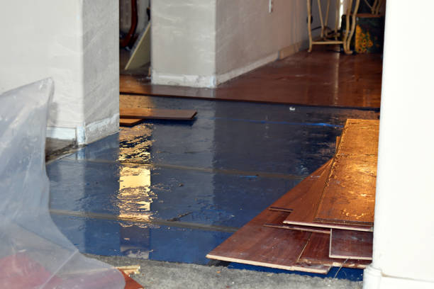 Professional Water Damage Restoration technician working in Albertson, NY